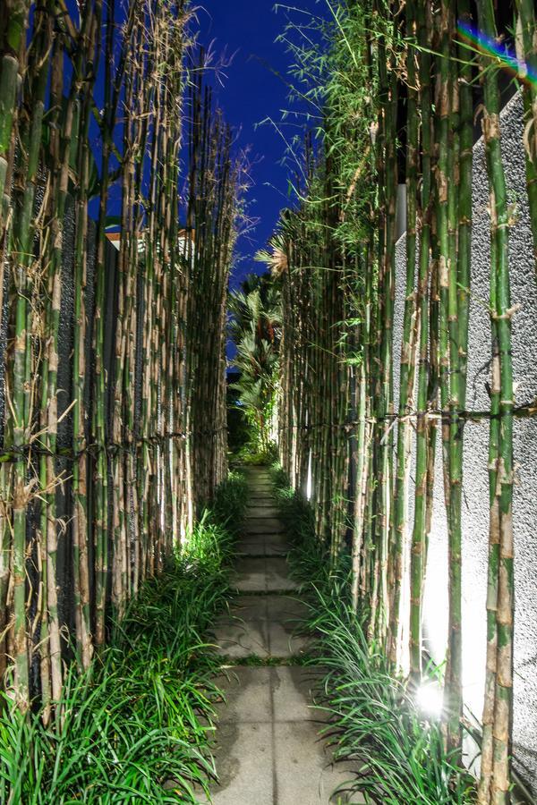 Villa Ixora Canggu Dış mekan fotoğraf